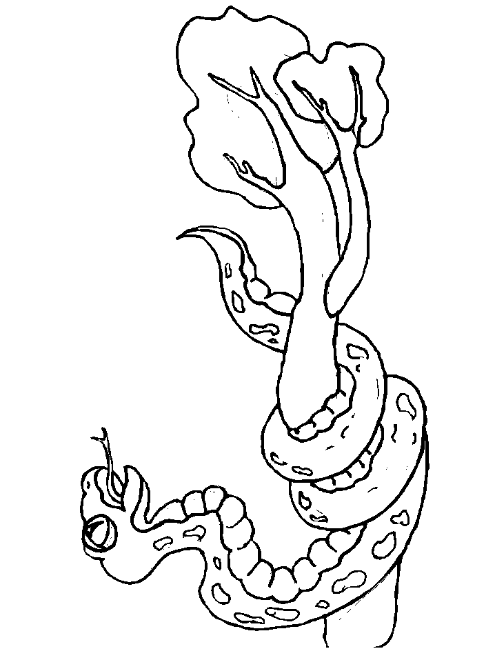 Snake On The Tree Coloring Pages