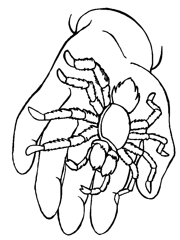Spider in Hand Coloring Pages