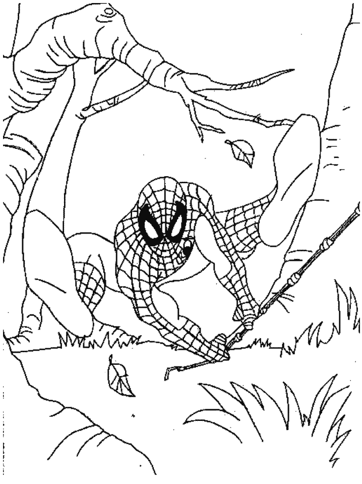 Spiderman Cartoons Coloring Page For Kids