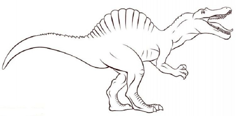 spinosaurus dinosaur coloring pages