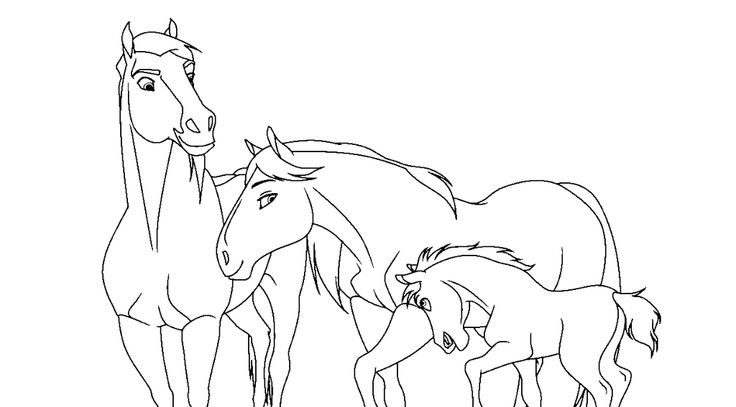spirit horse coloring pages printable family
