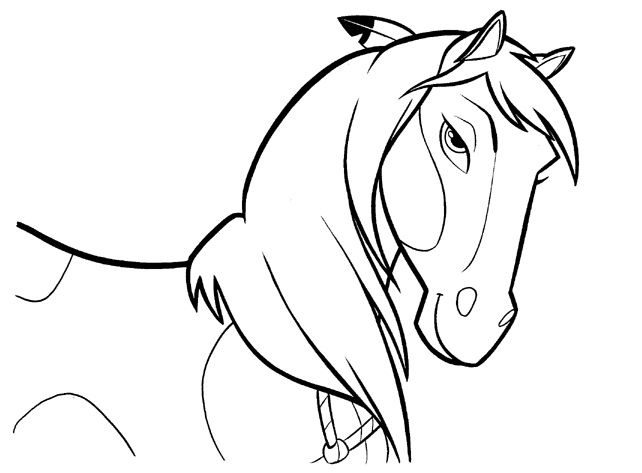 spirit spirit stallion horse coloring pages