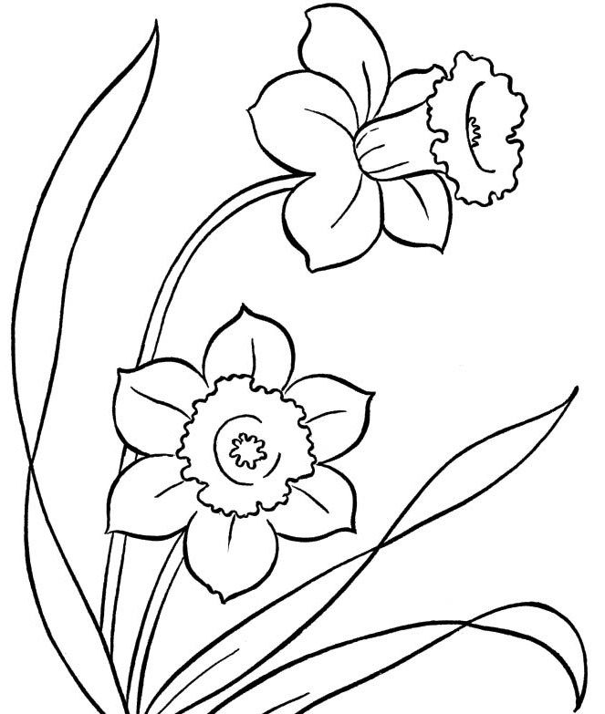 spring flower coloring pages