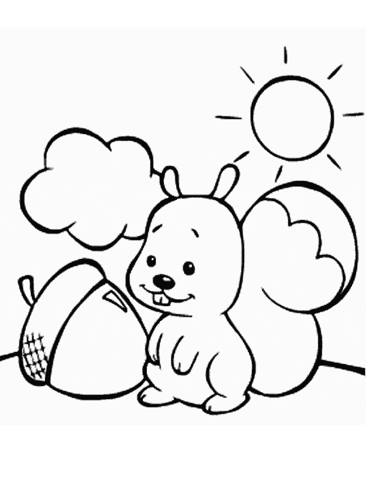 Squirrel Animals Coloring Pages