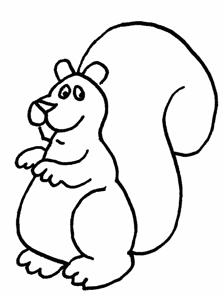 Coloring Pages Squirrel