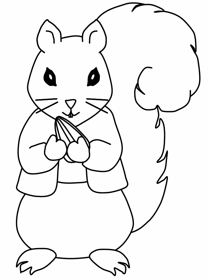 Coloring Pages of Squirrels