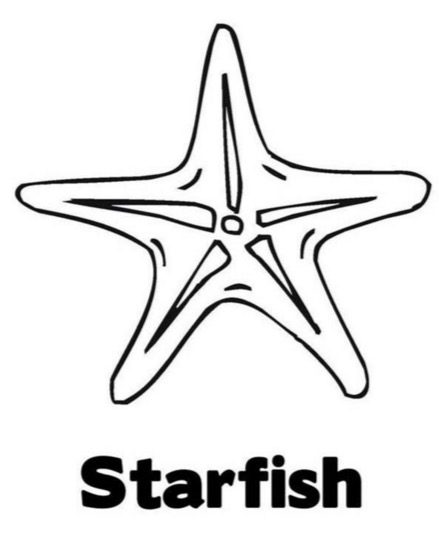 star fish