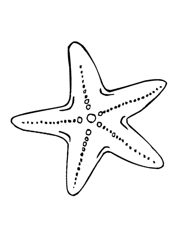 star fish coloring pages