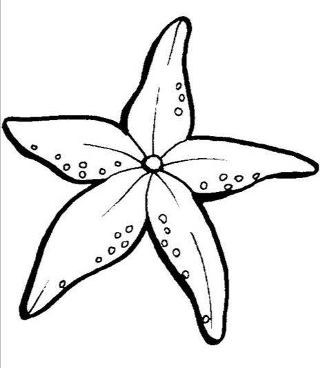 starfish coloring page