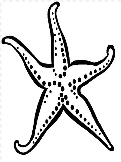 Starfish coloring page