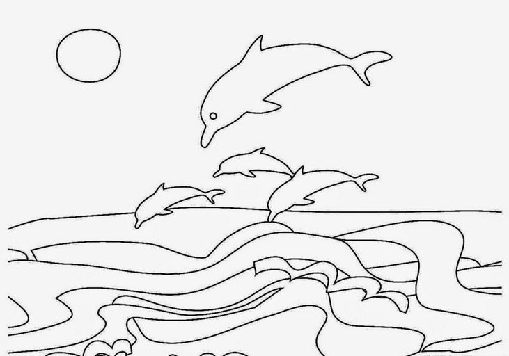 Summer Dolphin Coloring page