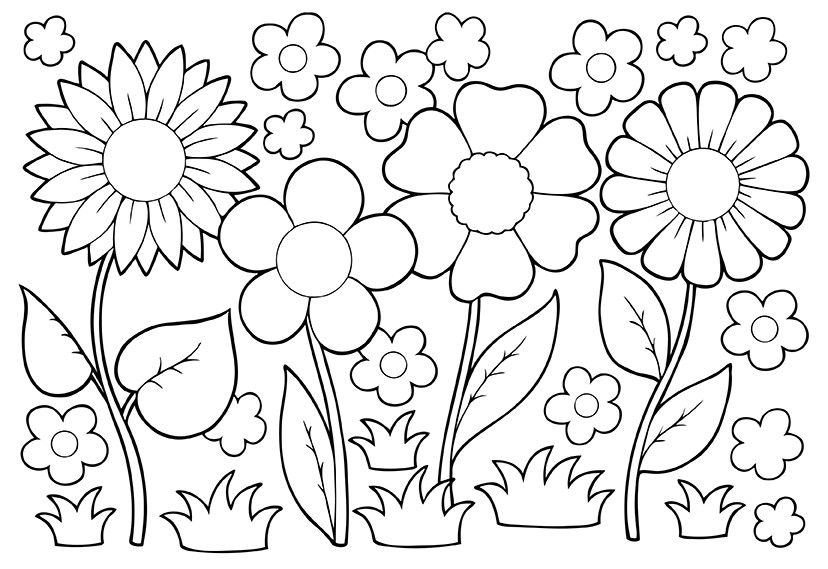 summer flower coloring pages