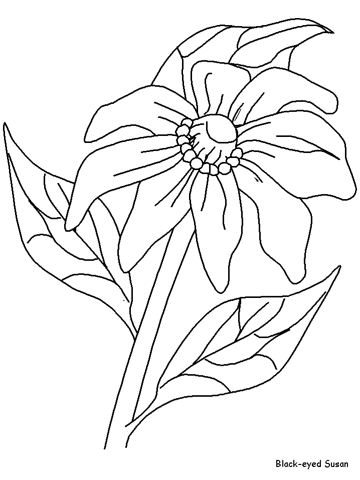 Susan Flowers Coloring Pages