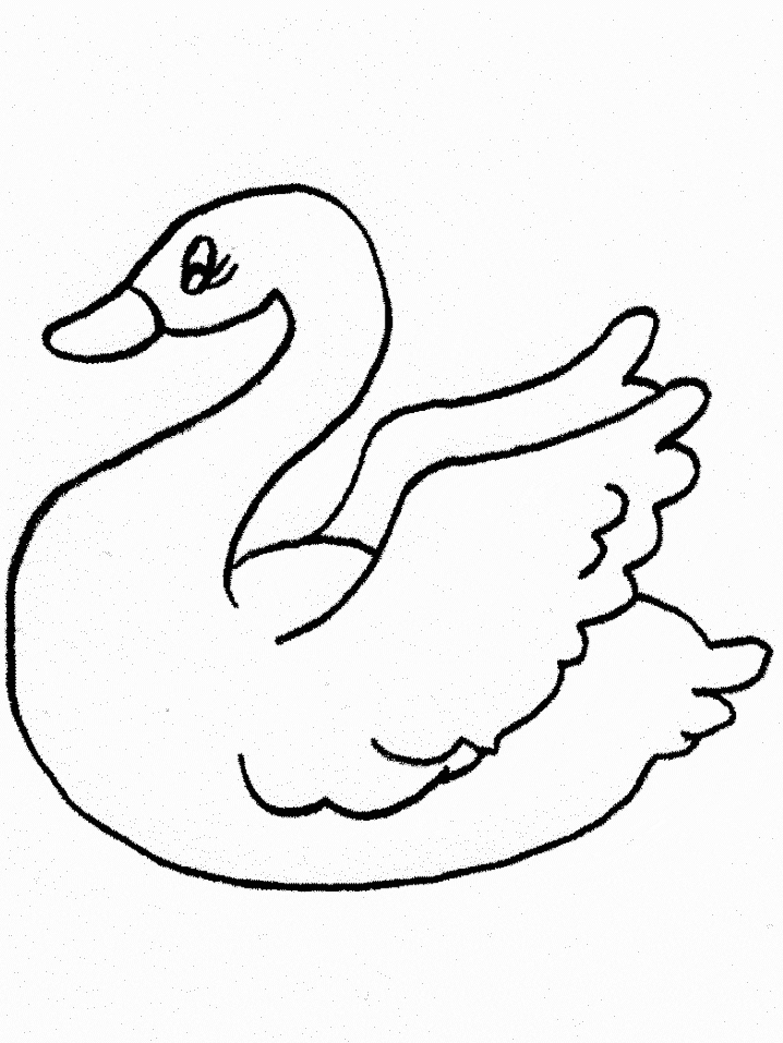 Swan Animals Coloring Pages