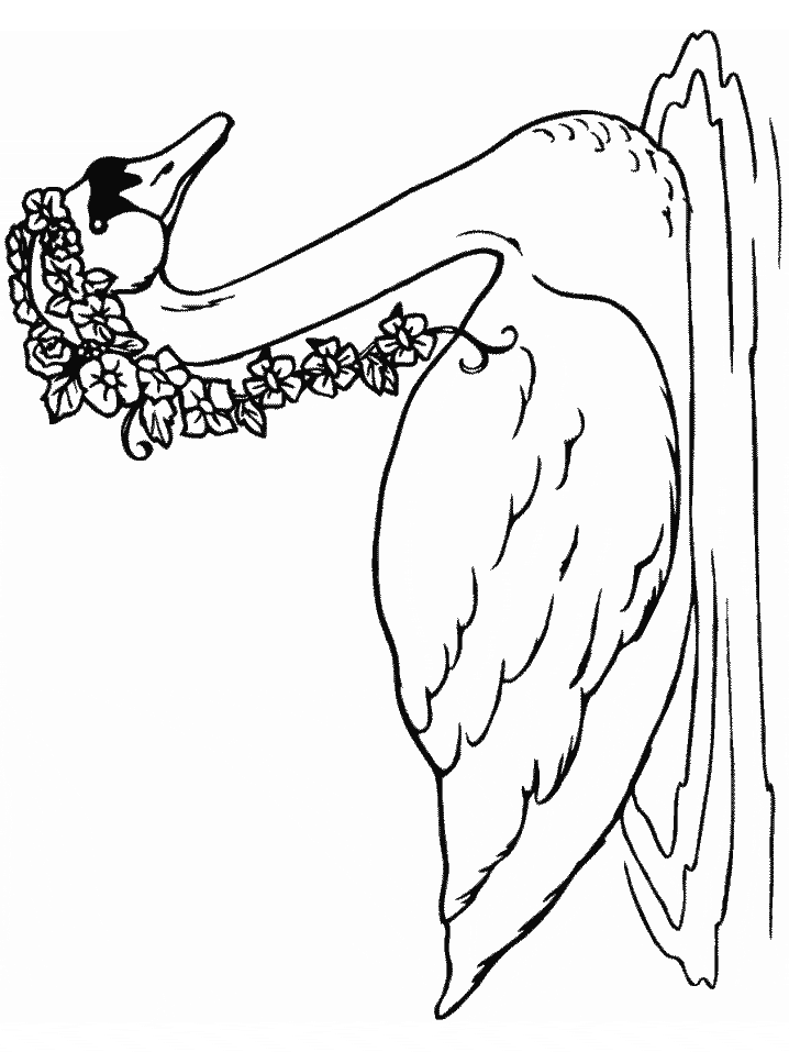 Coloring Pages of Swans