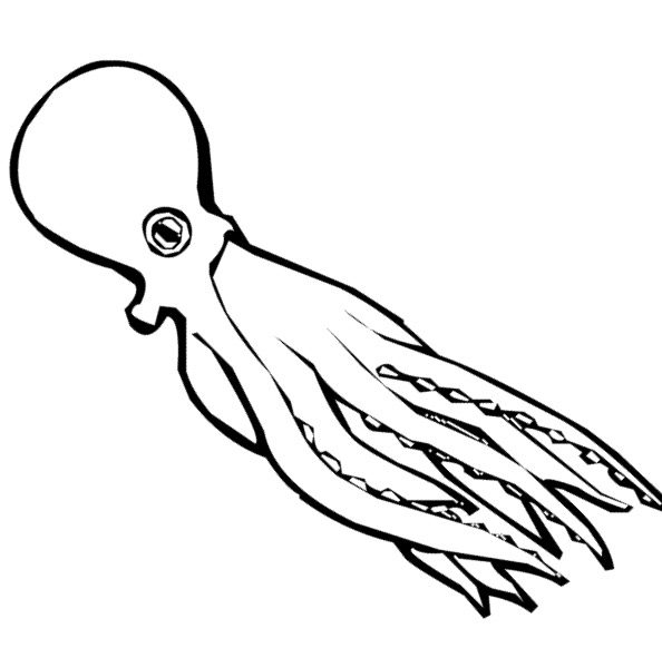 swimming octopus coloring page