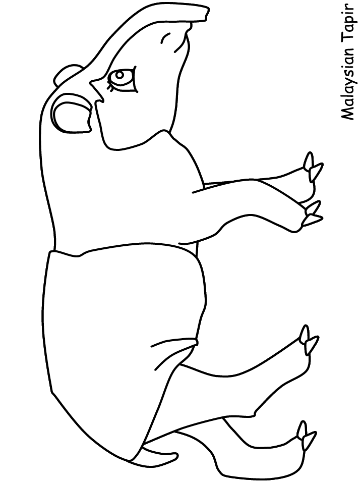 Tapir Animals Coloring Pages