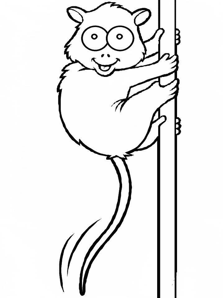 Tarsier Animals Coloring Pages