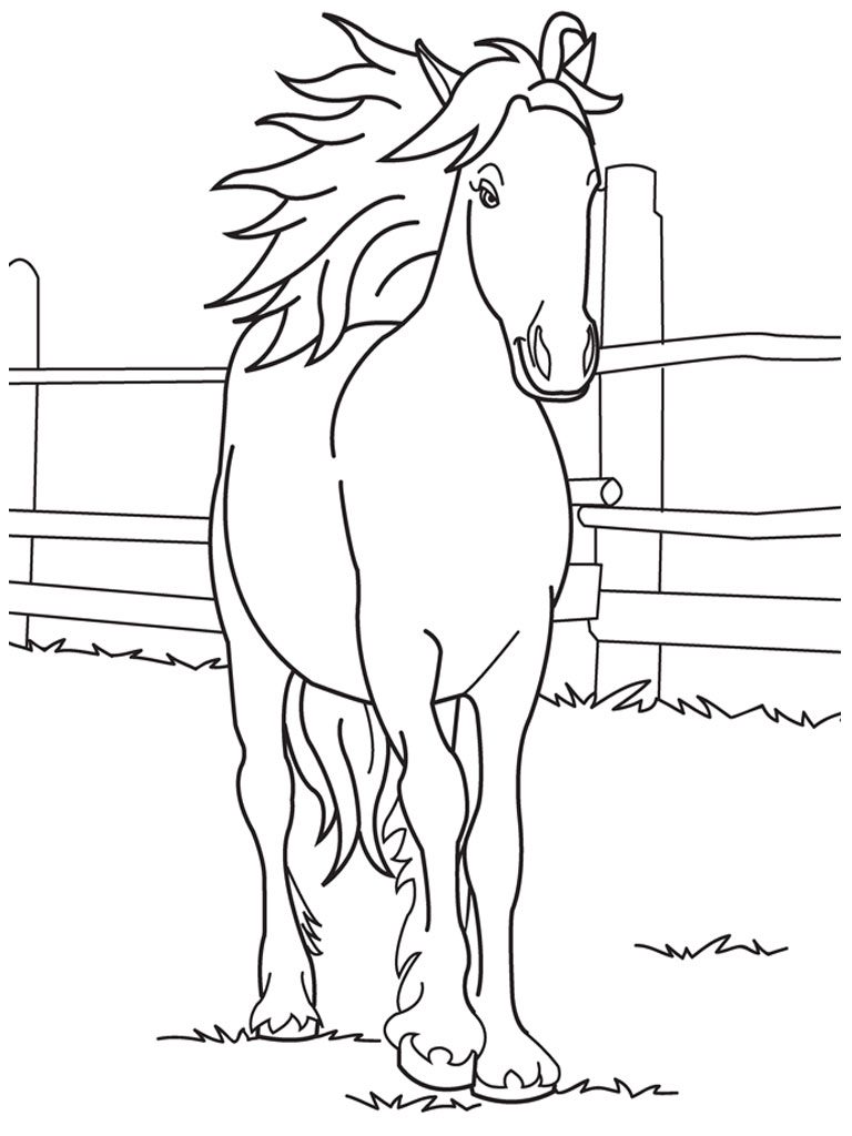 ten year old horse coloring pages