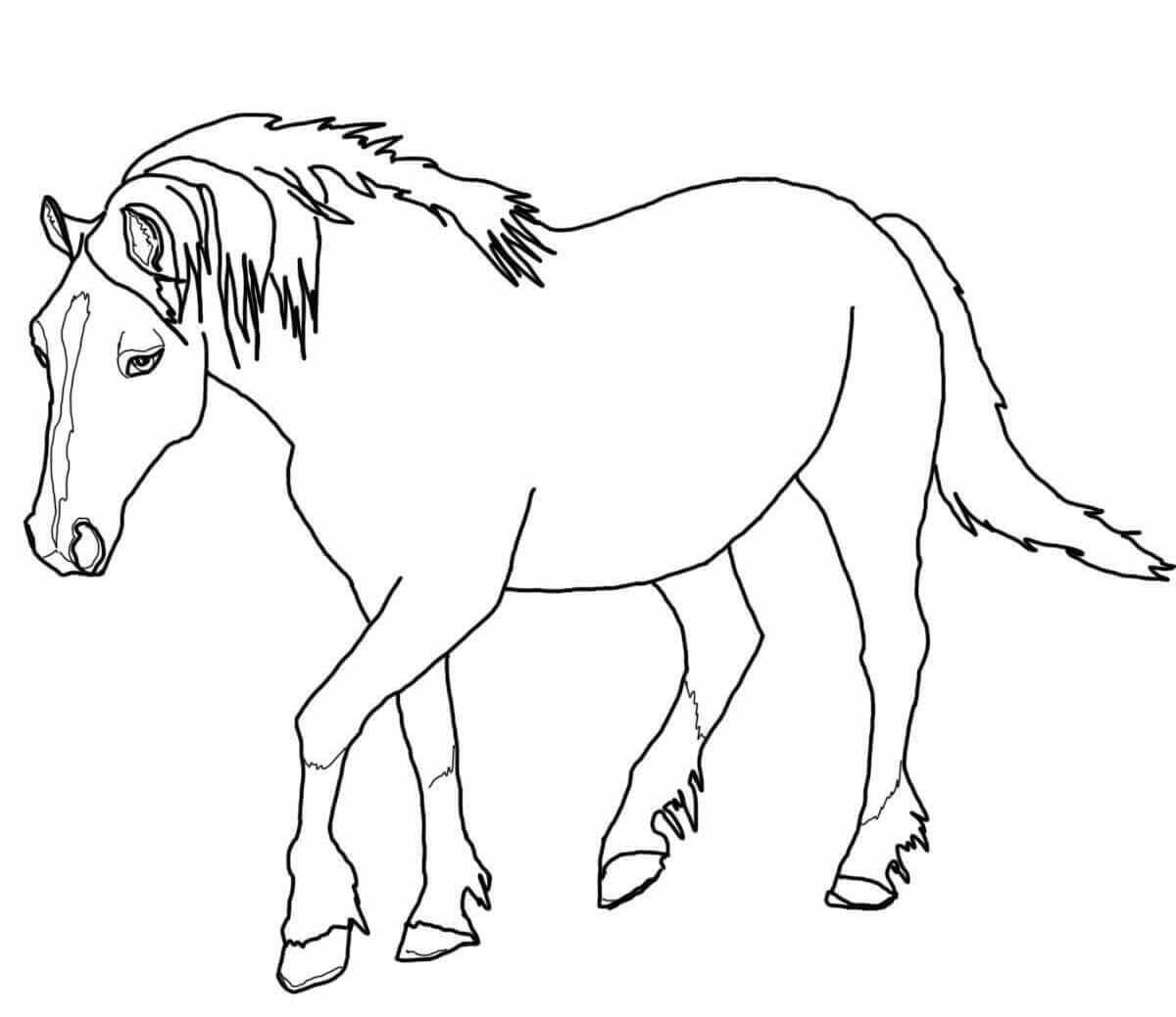 tennessee state walking horse coloring pages