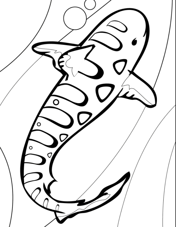 tiger shark coloring page  book for kids