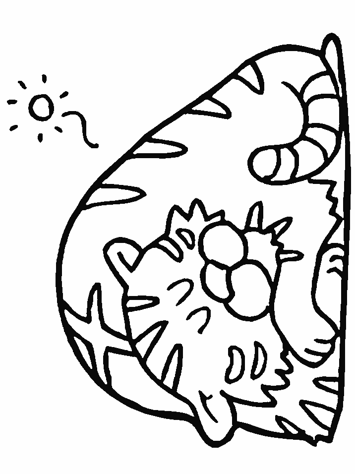 Sleeping Tiger Coloring Pages