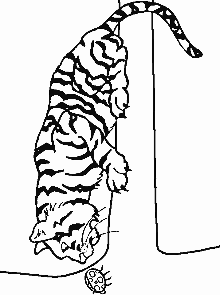 Tigers and Beatles Coloring Pages