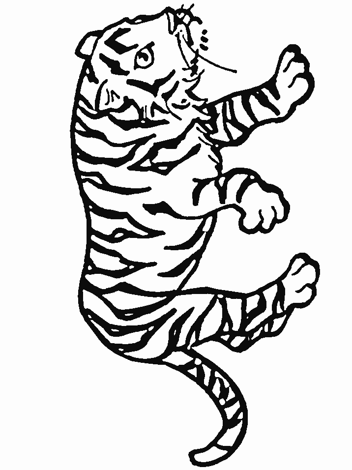 Tigers Tiger9 Animals Coloring Pages