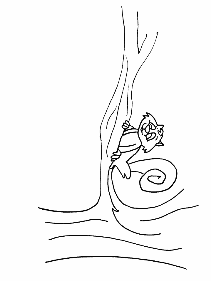 Squirrel in tree