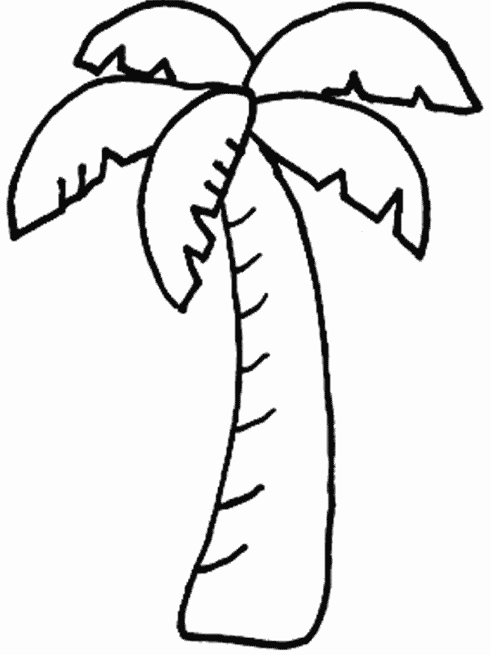 Palm Tree coloring page