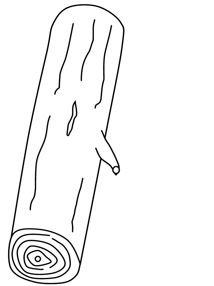 Wood Log Coloring Page