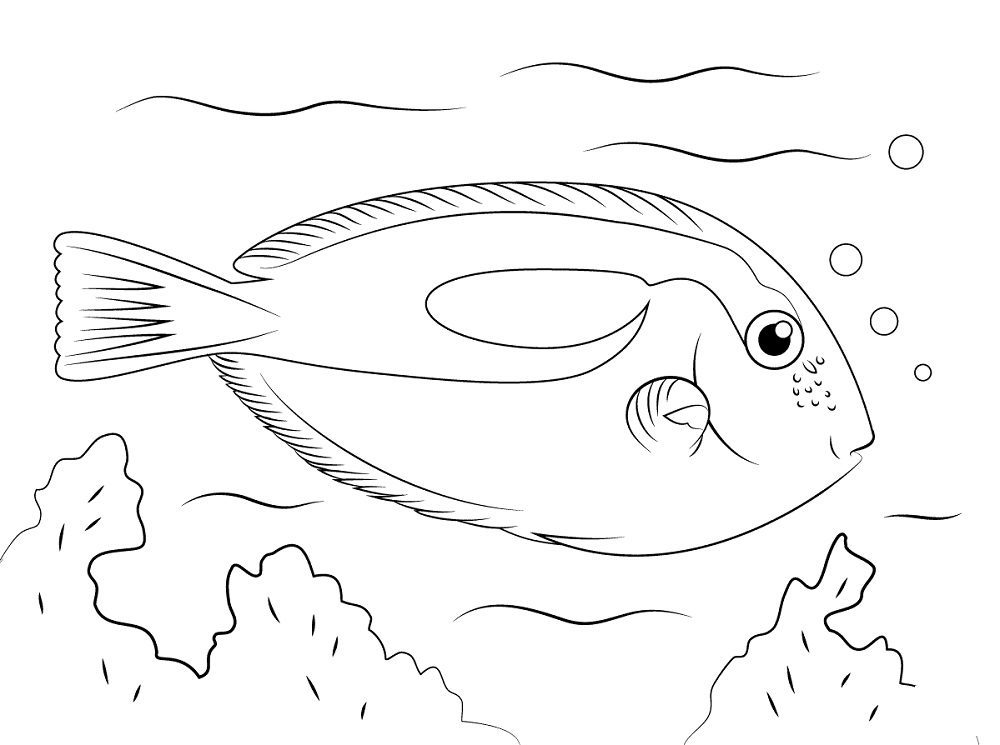 tropical fish coloring pages