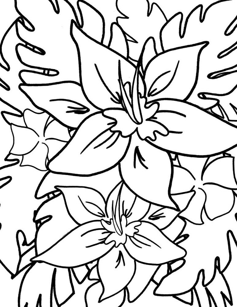 tropical flower coloring pages