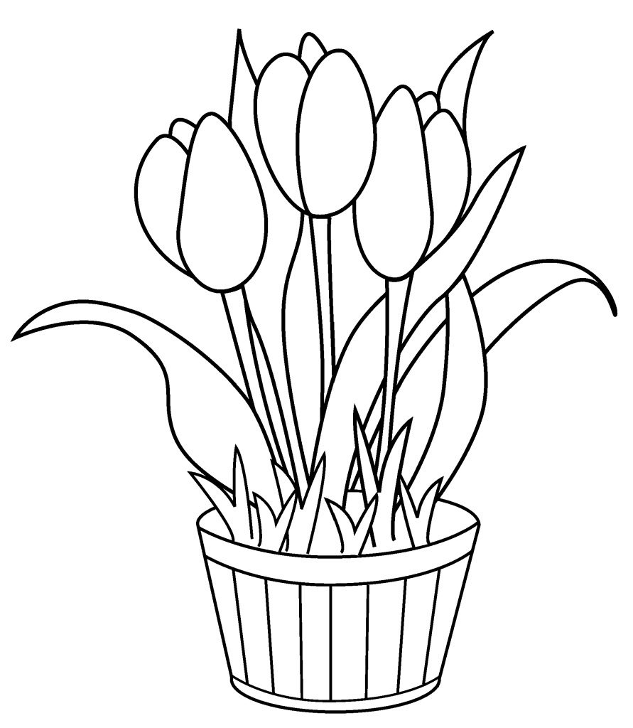 tulip flower coloring pages