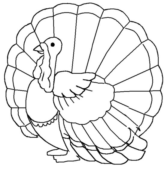 Turkey Coloring Page for Kids