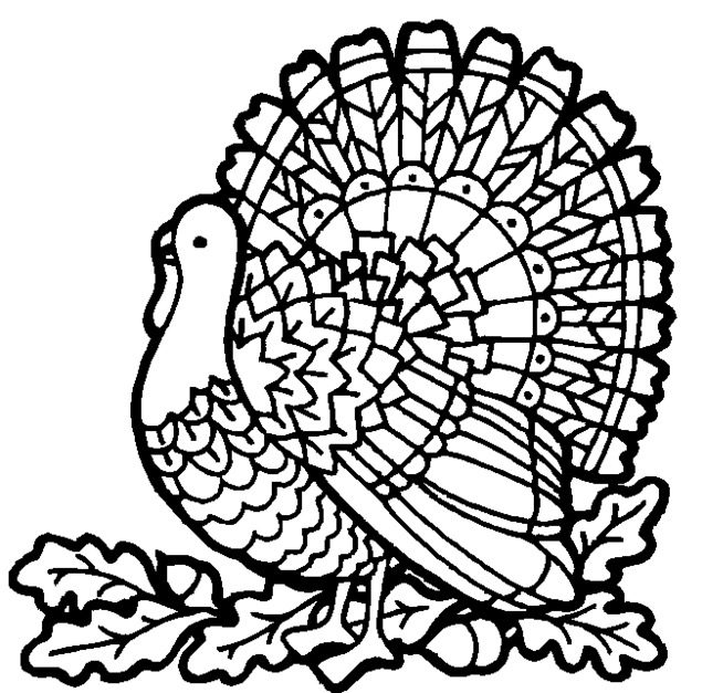 Turkey Coloring Page