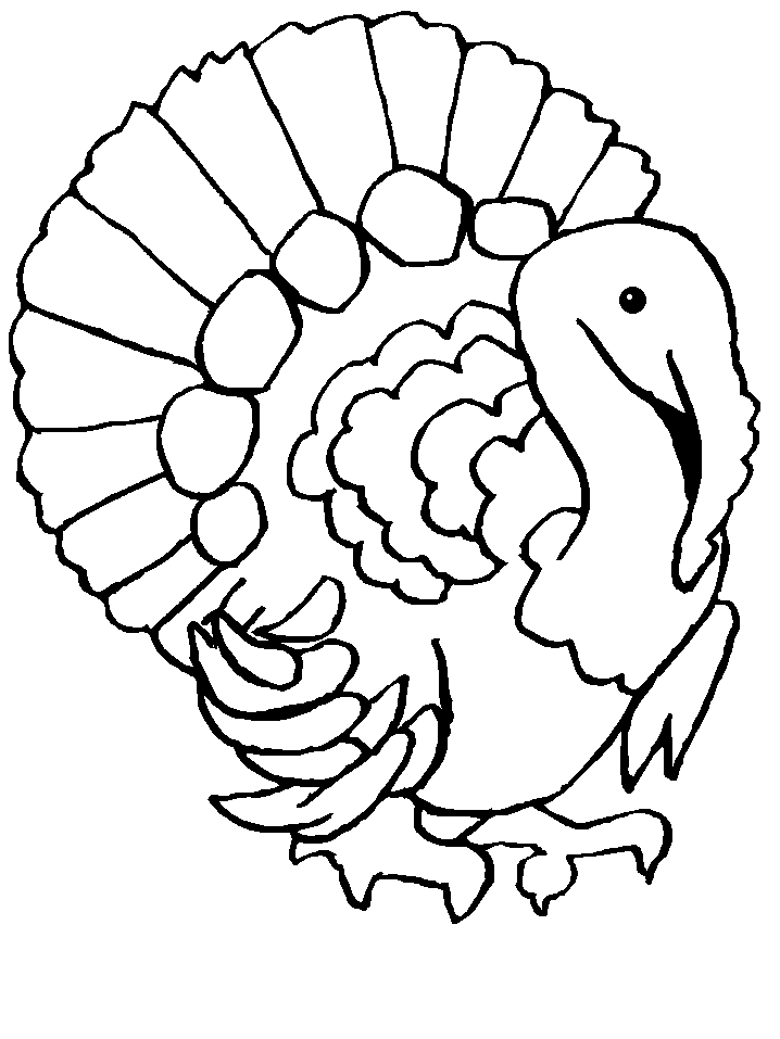Turkeys coloring page