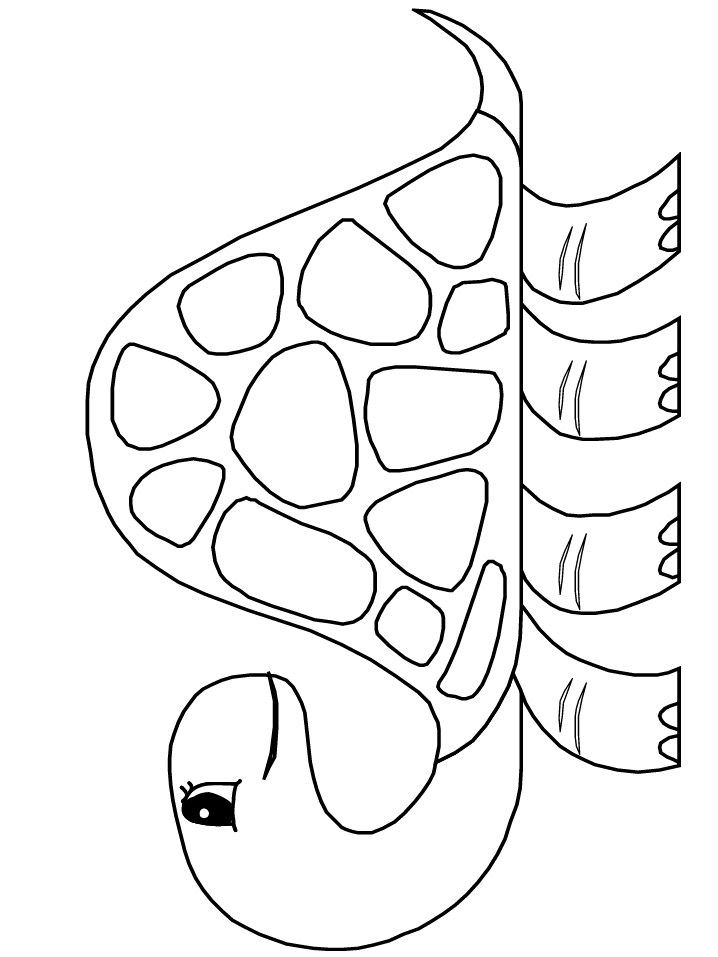 Cute Turtle Coloring Pages