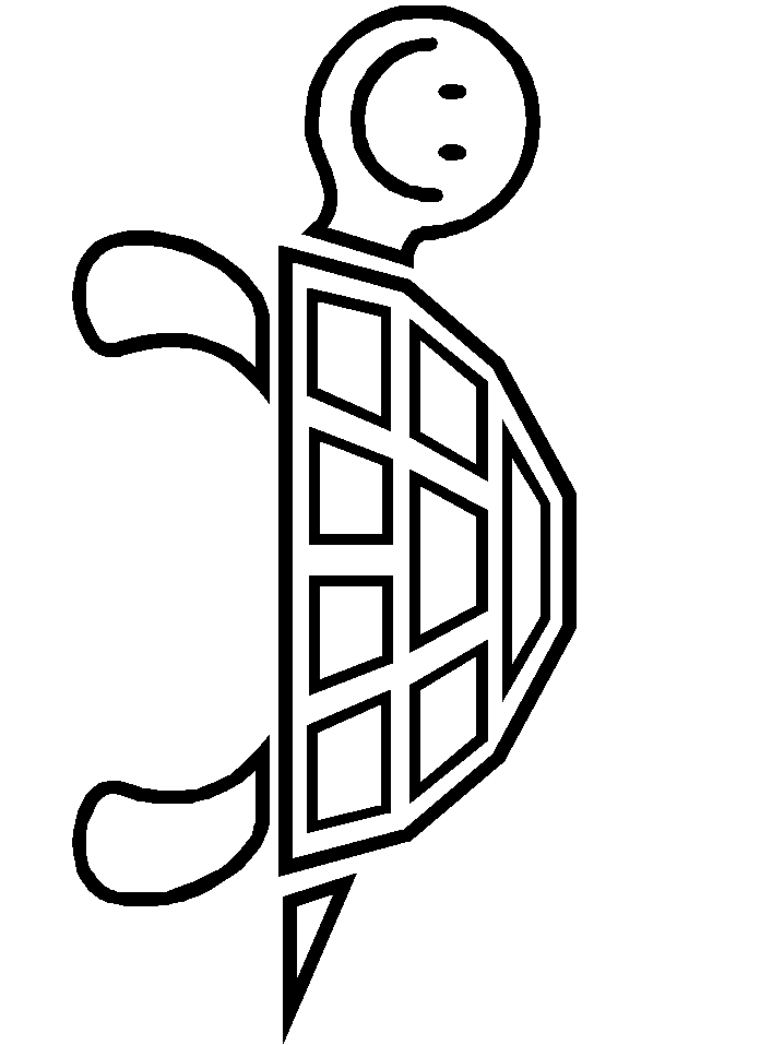 Turtle Animals Coloring Pages