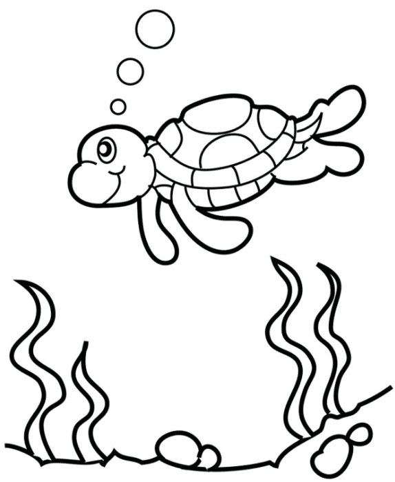 Free Turtle coloring page