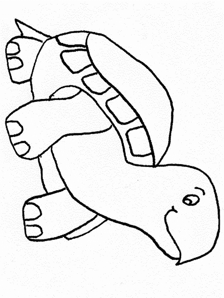 Coloring Pages of a Turtle