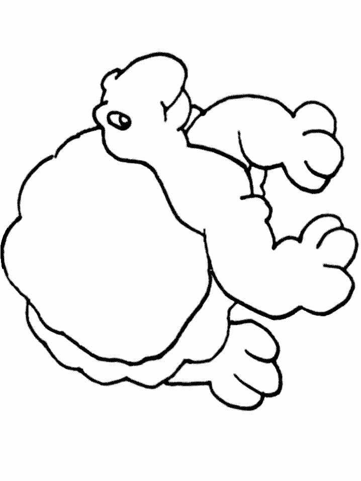 Buffed Turtle Coloring Pages