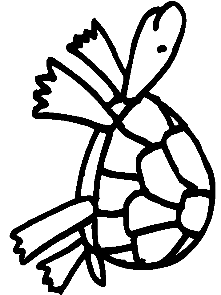 Sea Turtle Coloring Pages