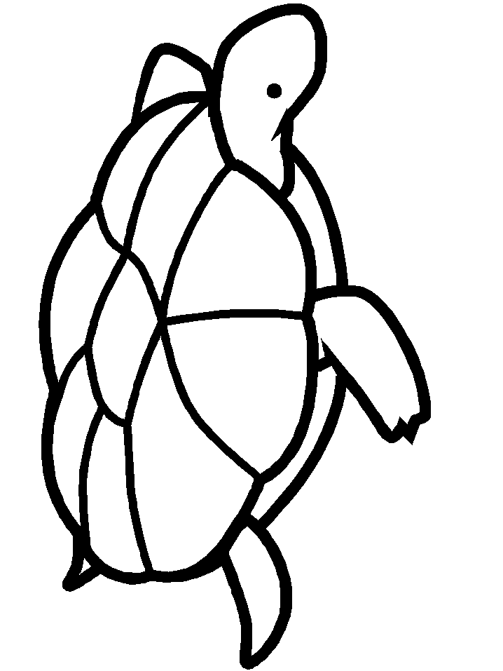 Turtle Coloring Pages Printables