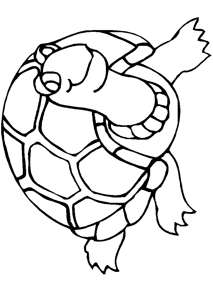 Happy Turtle Coloring Pages