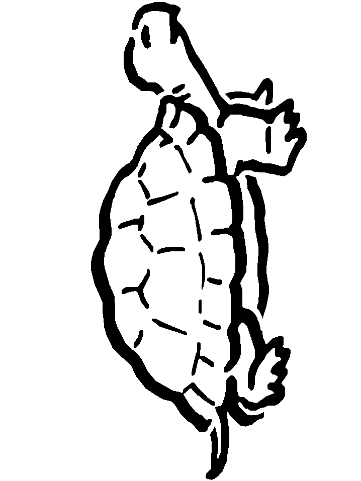Free Coloring Pages of a turtle