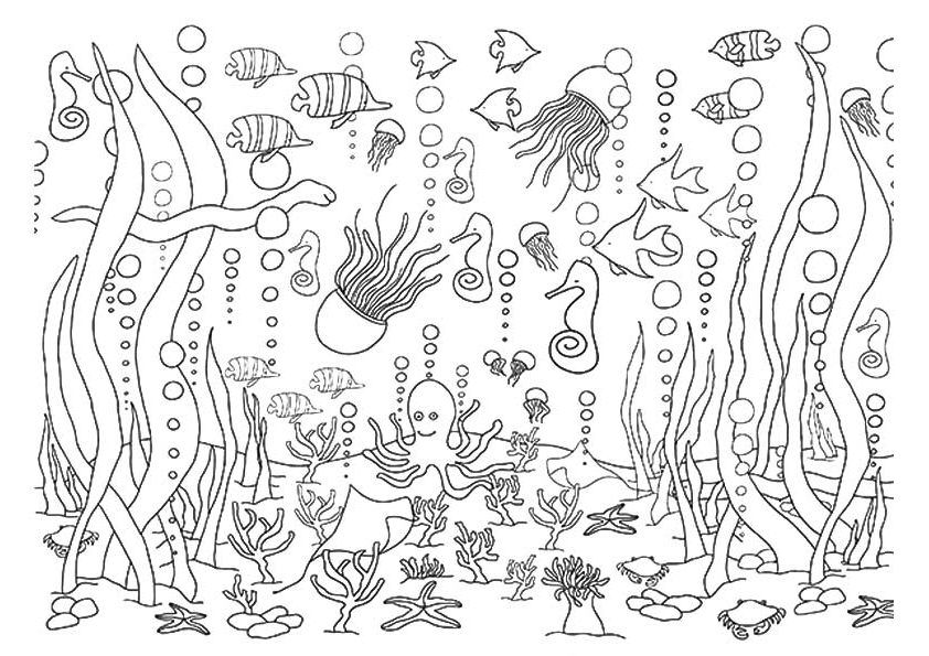 under the water coloring pages