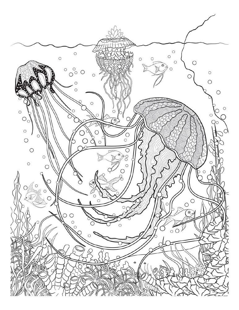 under water sea life adult coloring pages