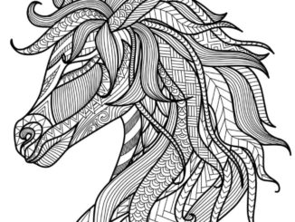 Home | Coloring Page Book