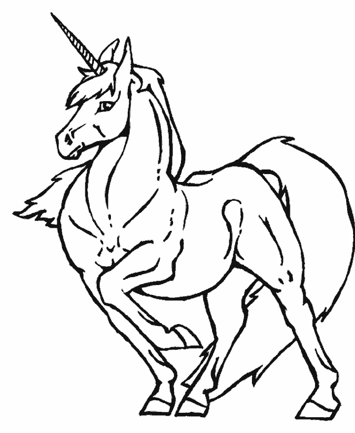Detailed Unicorn Coloring Page Unicorn Coloring Page Coloring Book
